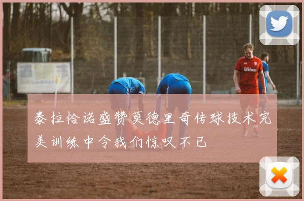 泰拉恰诺盛赞莫德里奇传球技术完美训练中令我们惊叹不已